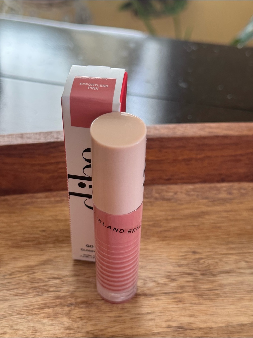 DIBS Beauty Go To Glossy Balm - Shade Effortless Pink
